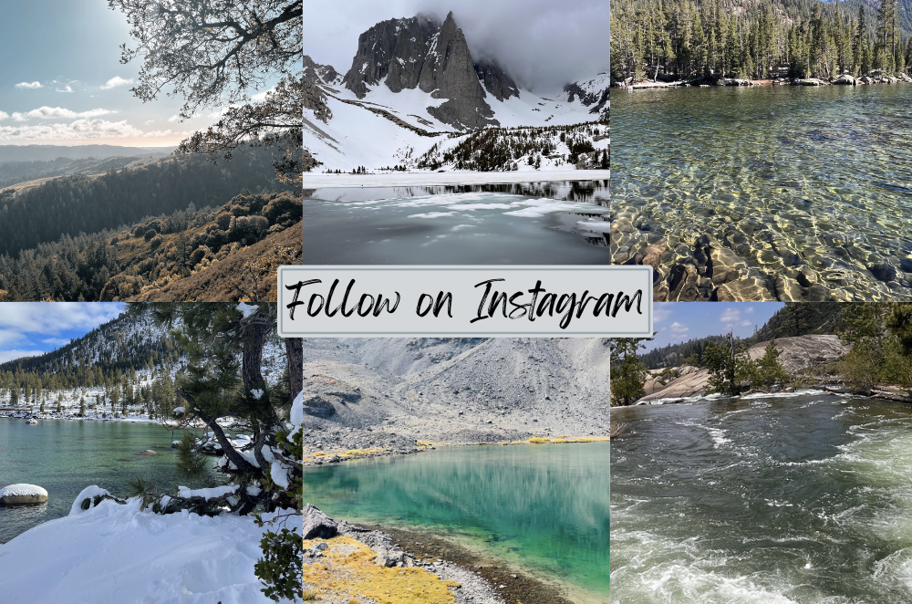 Follow on Instagram Dina DeLeon